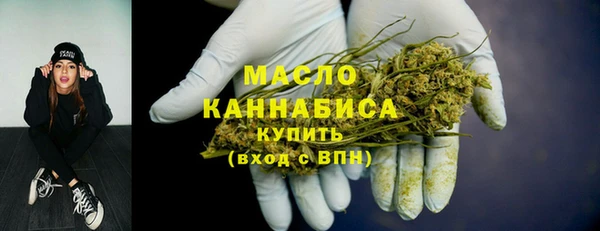 сатива Осинники
